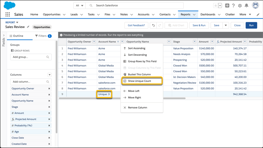 A unique count showing how many distinct accounts appear in report results