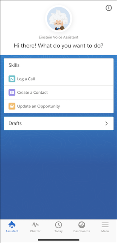 Einstein Voice Assistant home page on mobile